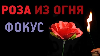 Фокус с розой из огня с Алиэкспресс Обзор Цена Купить
