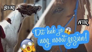 'Project Angel' | Ongelofelijk resultaat na behandeling van Essentiële oliën