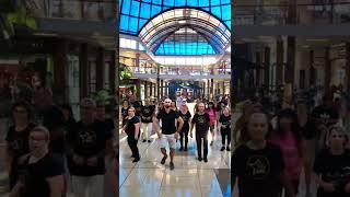 QUANDO QUANDO || THE AVENER & WALDECK ft. Patrizia Ferrara || ANDREA STELLA || BALLI DI GRUPPO 2022