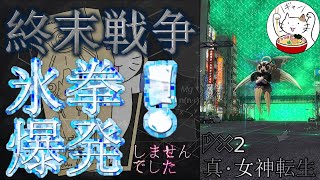 【D2メガテン】氷結リベンジ！でも氷拳は爆発しませんでした【終末戦争】