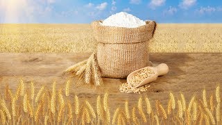 Сколько будет стоить хлеб? Цены на муку взлетели: почти на 50% за год.