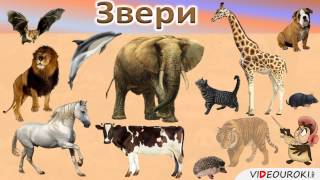 Урок окружающего мира на тему "Какие бывают животные."