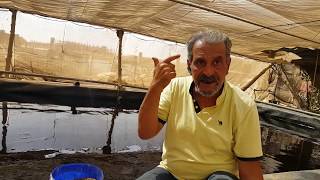 التسويق تاني وحوار مع دكتور هشام حجاج