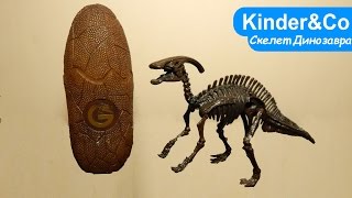 Обзор игрушки Динозавра в яйце. Собери скелет паразауролофа