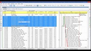 Comparing Primavera Software