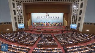Xi Jinping: China, Africa embark on distinctive path of win-win cooperation