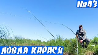 Рыбалка на Донки летом - ПРОБКА, Фидер. Ловля карася на ПЕНОПЛАСТ!
