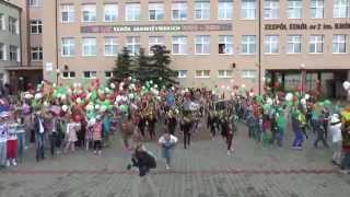 LIP DUB - ZSZ nr 2 im. Królowej Jadwigi w PILE