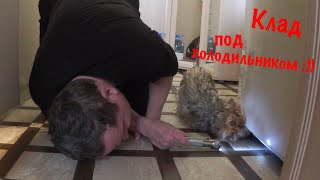 ВЛОГ : ЖЕНЬКА И БОРИС / КЛАД ПОД ХОЛОДИЛЬНИКОМ :)) 12.02.2018