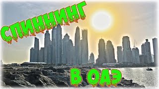 Путешествие в ОАЭ. Рыбалка на спиннинг.