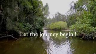 Noosa - Noosa Everglades - Sunshine Coast Queensland