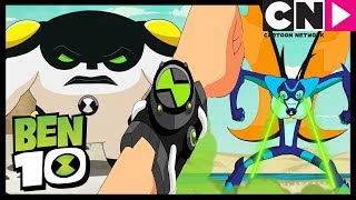 Meydan Okuma | Ben 10 Türkçe | çizgi film