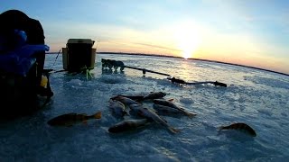 Зимняя рыбалка. Поиск окуня на оз. Кубенское | Winter fishing.