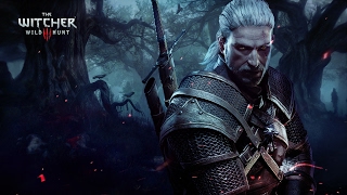 The Witcher 3/ A4-3400 2.7 Ghz/ GeForce GTX 750 2GB Palit StormX
