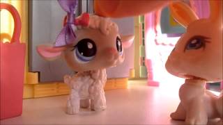 Histoire Petshop :Qui es tu ?