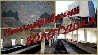 ЗАБРОШКИ. Пятигорск. Птицефабрика Золотушка