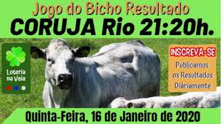 Coruja rio das 21 20 horas Resultado do jogo dobicho de hoje 16 01 2020 jogo do bicho de quinta feir