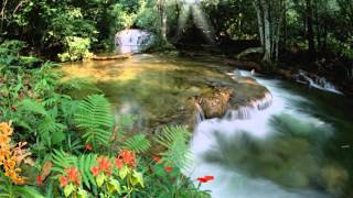 Free screensaver nfsParadiseAtWaterfall