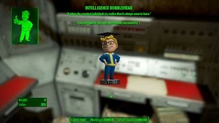 Intelligence Bobblehead - Boston Public Library - Fallout 4