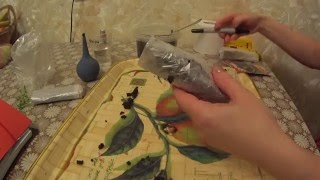 ПОСЕВ И ПИКИРОВКА БАКЛАЖАНА!!!