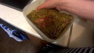 Вяленно капченый окорок бобра-маринуем окорок бобра, часть 1