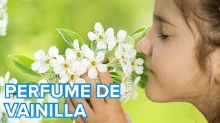 Cómo hacer perfume de vainilla y canela con los niños