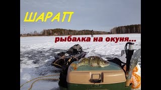 Рыбалка в Сибири #47. Окунь в Шарапе на обском водохранилище 18 ноября 2017.