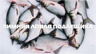Зимняя ловля Подлещика | Технология зимнего клева