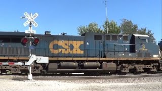 CSX Phosphate Train with Old Hoppers on BNSF