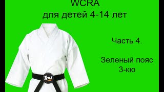 Детская программа экзаменов на пояса в Реальном айкидо на зеленый пояс