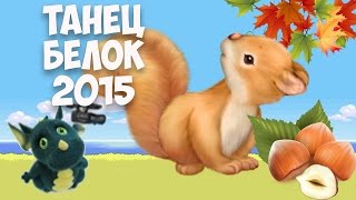 Танец белок с орешками .Муз. рук. Максюта Г. В. Младшая группа. 2015 г.squirrel with nuts