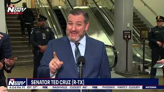 "SON OF A B* - HE WAS FIRED": Sen. Cruz gets FIRED UP talking Biden & Burisma