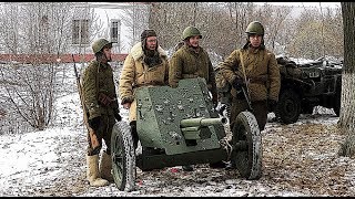 Освобождение Медыни, 1942 г