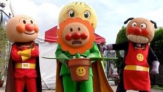 アンパンマンショー 【みんなでさがそう！ゆめの花】 ３人のアンパンマンにばいきんまん、ドキンちゃん登場！  最前列高画質 Anpanman kidsshow