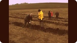 Гнедых. Савченко. Дороги.