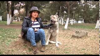 იმედის გმირი თიკო კვალიაშვილი  22.02.2015