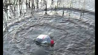 Ловля сомов на банки - Fishing of catfishes on jar