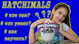 МОЙ HATCHIMALS! КТО ТАМ? ЧТО УМЕЕТ ДЕЛАТЬ? КАК НАУЧИТЬ ЕГО И КАК ИГРАТЬ С НИМ?