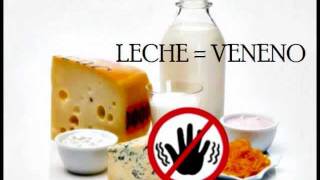 El consumo de la leche de vaca y sus derivados. Sus efectos en la salud