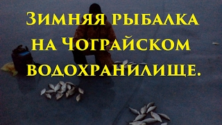 Зимняя рыбалка на Чограйском водохранилище