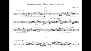 Short cadenzas for Mozart bassoon concerto
