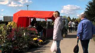 FINDLINGSPARK Nochten Teil 10 "Veranstaltungshöhepunkte Pflanzenmarkt und Chorsingen"