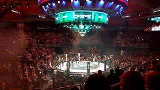 11 ноября бои в клетке MMA ДИВС Екатеринбург Иван Штырков vs М'Пубма