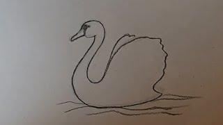 Учимся рисовать лебедя