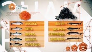 Икра. Знак качества