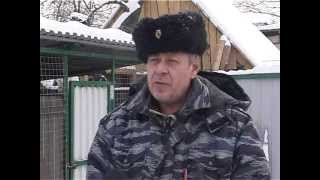 об "особо опасных " породах кинологи РУКЦ«SPECIAL FORCES» и питомник " Из дома Уваровых"