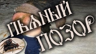 Пьяный позор [дальше некуда]