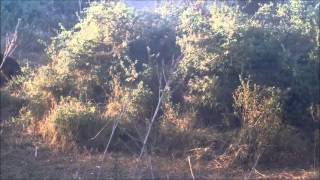 ENHMEΡΩΤ.  ΒΙΝΤΕΟ ΕΚΠΑΙΔΕΥΣ. ΣΕΓΚΟΥΤΣΙ ΔΗΜΗΤΡΗ