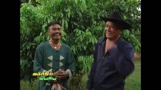 เกษตรอินทรีย์ ตอน สวนลำไย คุณสวัสดิ์ เชียงราย