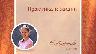 Практика в жизни. Екатерина Андросова